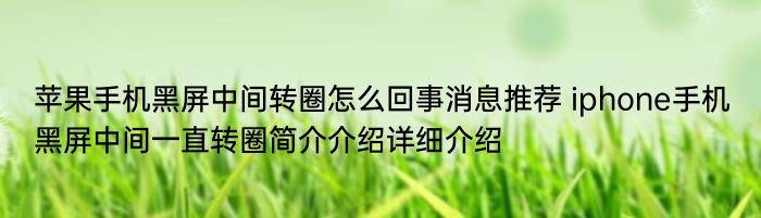 苹果手机黑屏中间转圈怎么回事消息推荐 iphone手机黑屏中间一直转圈简介介绍详细介绍