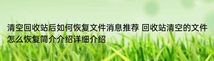 清空回收站后如何恢复文件消息推荐 回收站清空的文件怎么恢复简介介绍详细介绍