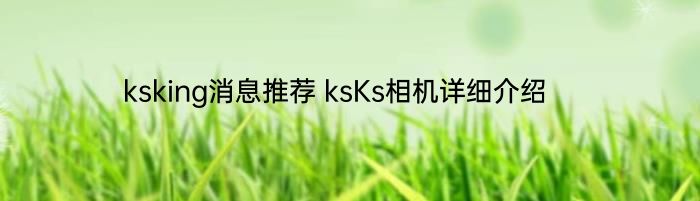 ksking消息推荐 ksKs相机详细介绍