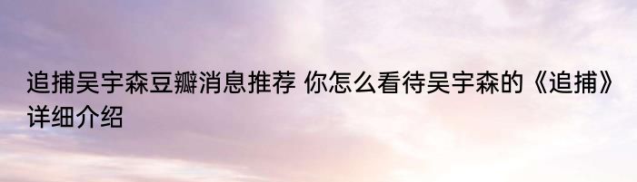 追捕吴宇森豆瓣消息推荐 你怎么看待吴宇森的《追捕》详细介绍