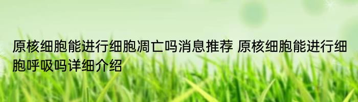 原核细胞能进行细胞凋亡吗消息推荐 原核细胞能进行细胞呼吸吗详细介绍