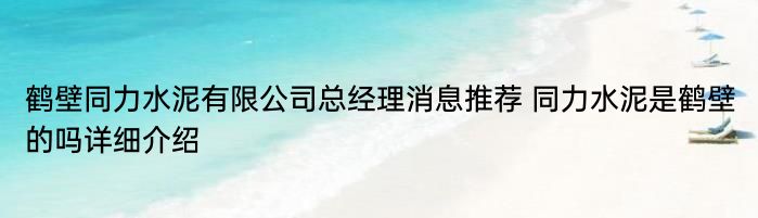 鹤壁同力水泥有限公司总经理消息推荐 同力水泥是鹤壁的吗详细介绍