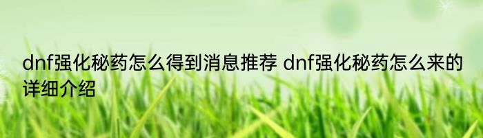 dnf强化秘药怎么得到消息推荐 dnf强化秘药怎么来的详细介绍