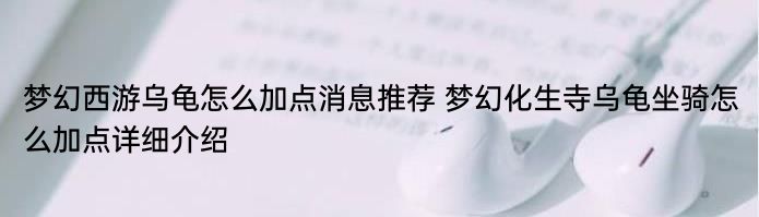 梦幻西游乌龟怎么加点消息推荐 梦幻化生寺乌龟坐骑怎么加点详细介绍