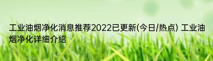 工业油烟净化消息推荐2022已更新(今日/热点) 工业油烟净化详细介绍