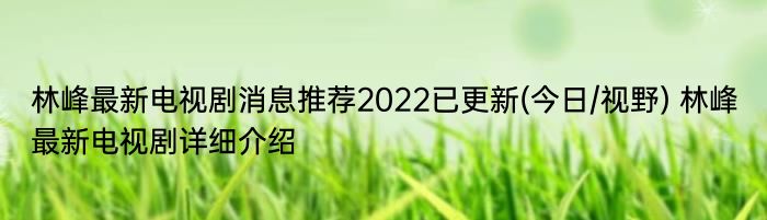 林峰最新电视剧消息推荐2022已更新(今日/视野) 林峰最新电视剧详细介绍