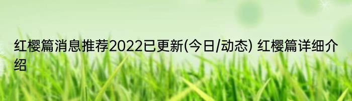 红樱篇消息推荐2022已更新(今日/动态) 红樱篇详细介绍