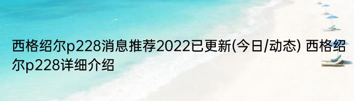 西格绍尔p228消息推荐2022已更新(今日/动态) 西格绍尔p228详细介绍