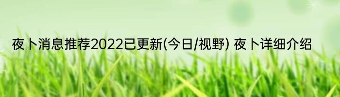 夜卜消息推荐2022已更新(今日/视野) 夜卜详细介绍