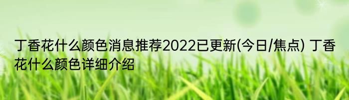 丁香花什么颜色消息推荐2022已更新(今日/焦点) 丁香花什么颜色详细介绍