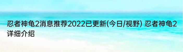 忍者神龟2消息推荐2022已更新(今日/视野) 忍者神龟2详细介绍