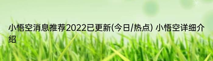 小悟空消息推荐2022已更新(今日/热点) 小悟空详细介绍