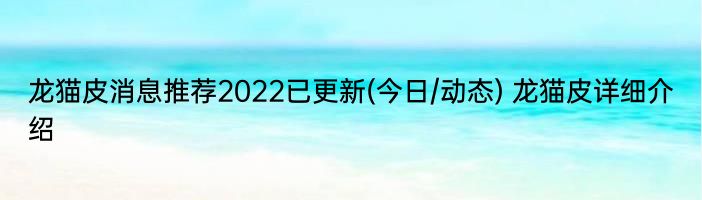 龙猫皮消息推荐2022已更新(今日/动态) 龙猫皮详细介绍