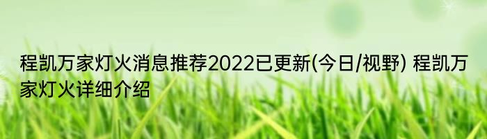 程凯万家灯火消息推荐2022已更新(今日/视野) 程凯万家灯火详细介绍