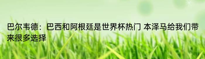 巴尔韦德：巴西和阿根廷是世界杯热门 本泽马给我们带来很多选择