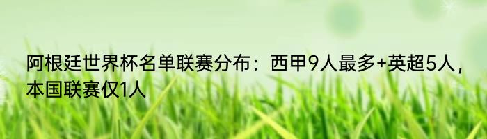 阿根廷世界杯名单联赛分布：西甲9人最多+英超5人，本国联赛仅1人