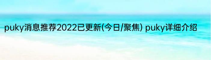 puky消息推荐2022已更新(今日/聚焦) puky详细介绍