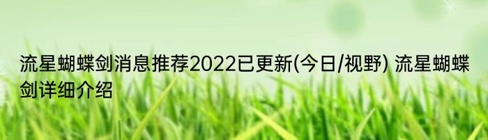 流星蝴蝶剑消息推荐2022已更新(今日/视野) 流星蝴蝶剑详细介绍