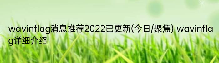 wavinflag消息推荐2022已更新(今日/聚焦) wavinflag详细介绍