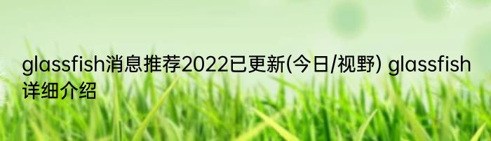 glassfish消息推荐2022已更新(今日/视野) glassfish详细介绍