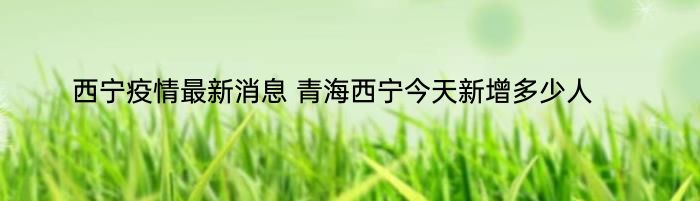 西宁疫情最新消息 青海西宁今天新增多少人