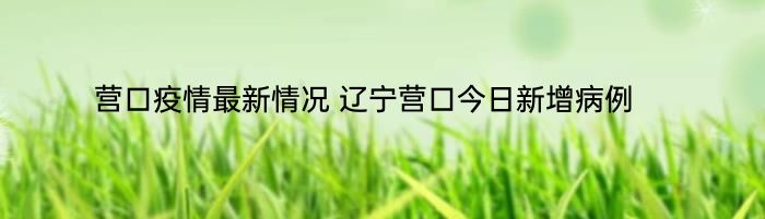 营口疫情最新情况 辽宁营口今日新增病例