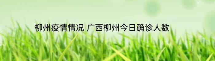 柳州疫情情况 广西柳州今日确诊人数