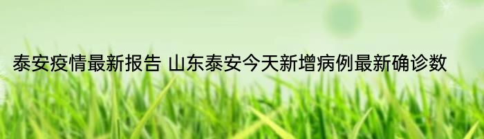 泰安疫情最新报告 山东泰安今天新增病例最新确诊数