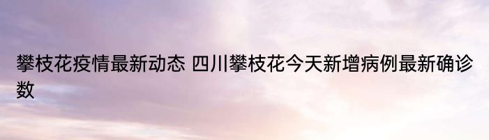 攀枝花疫情最新动态 四川攀枝花今天新增病例最新确诊数