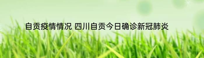 自贡疫情情况 四川自贡今日确诊新冠肺炎