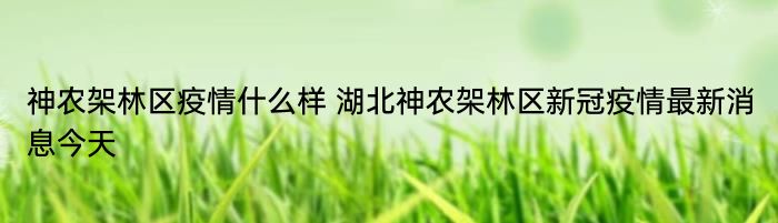 神农架林区疫情什么样 湖北神农架林区新冠疫情最新消息今天