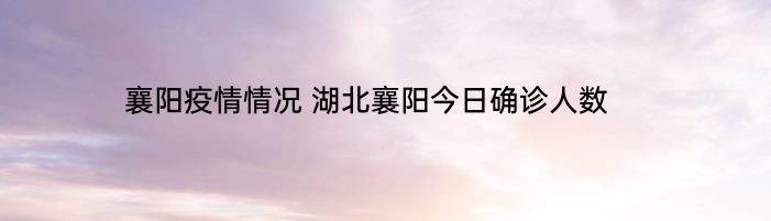 襄阳疫情情况 湖北襄阳今日确诊人数