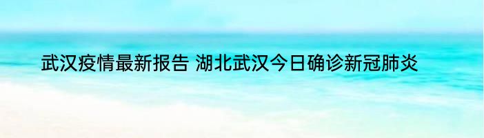 武汉疫情最新报告 湖北武汉今日确诊新冠肺炎