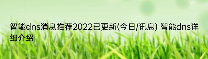 智能dns消息推荐2022已更新(今日/讯息) 智能dns详细介绍