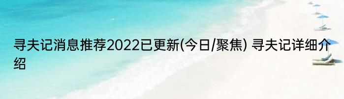 寻夫记消息推荐2022已更新(今日/聚焦) 寻夫记详细介绍